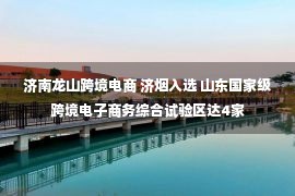 济南龙山跨境电商 济烟入选 山东国家级跨境电子商务综合试验区达4家