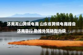 济南龙山跨境电商 山东省跨境电商峰会济南举行 助推外贸转型升级