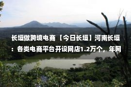 长垣做跨境电商 【今日长垣】河南长垣：各类电商平台开设网店1.2万个，年网销额25亿元