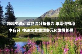 跨境电商运营物流分析报告 单票价格稳中有升  快递企业重塑多元化发展格局