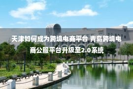 天津如何成为跨境电商平台 青岛跨境电商公服平台升级至2.0系统