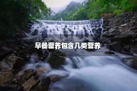 早餐营养包含几类营养 