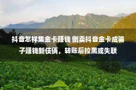 抖音怎样集金卡赚钱 倒卖抖音金卡成骗子赚钱新伎俩，转账后拉黑或失联