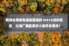 网络生意都有哪些赚钱的 iOS16给的机会，出海厂商能重拾小组件生意吗？