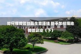 如何摆摊做饮品生意赚钱 新手怎样摆地摊做副业（下）