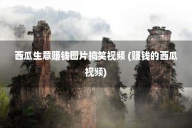 西瓜生意赚钱图片搞笑视频 (赚钱的西瓜视频)