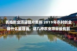 养殖创业项目图片资料 2019年农村创业做什么最赚钱，这几种农业项目最有前景