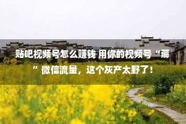 贴吧视频号怎么赚钱 用你的视频号“薅”微信流量，这个灰产太野了！