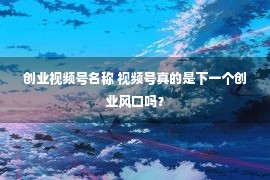 创业视频号名称 视频号真的是下一个创业风口吗？