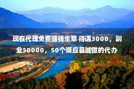 现在代理免费赚钱生意 待遇3000，副业50000，50个顺应县城做的代办