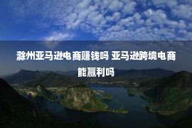 滁州亚马逊电商赚钱吗 亚马逊跨境电商能赢利吗