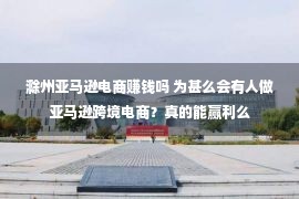 滁州亚马逊电商赚钱吗 为甚么会有人做亚马逊跨境电商？真的能赢利么