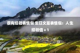 很有经验表情包 生日文案表情包：人生经验值＋1