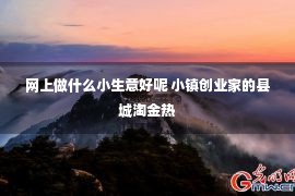 网上做什么小生意好呢 小镇创业家的县城淘金热