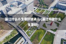 廉江什么小生意好做点儿 (廉江市做什么生意好)