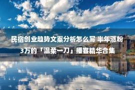 民宿创业趋势文案分析怎么写 半年涨粉3万的「温柔一刀」播客精华合集