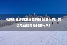 电商创业方向发展趋势图 寒潮当前，跨境电商服务商何去何从？