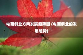 电商创业方向发展趋势图 (电商创业的发展趋势)