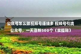 公众号怎么做视频号赚钱多 视频号引流公众号，一天涨粉500个（实操贴）