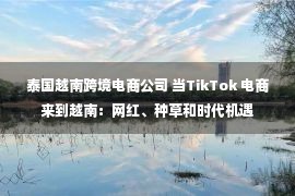 泰国越南跨境电商公司 当TikTok 电商来到越南：网红、种草和时代机遇