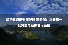 留学做跨境电商好吗 商务部：再新增一批跨境电商综合示范区