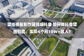 壁纸模板制作赚钱嘛抖音 如何做抖音壁纸引流，实现4个月10W+收入？