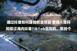 通过抖音如何赚钱创业项目 普通人是何如经过海内抖音TikTok赢利的，想找个副业来推广支出