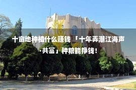 十亩地种植什么赚钱 「十年弄潮江海声·共富」种粮能挣钱！