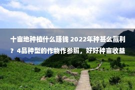 十亩地种植什么赚钱 2022年种甚么赢利？4品种型的作物作参照，好好种亩收益很高