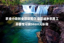 农业小吃创业项目简介 阜阳返乡农民工开餐馆可获5000元补贴