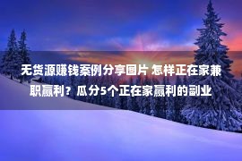 无货源赚钱案例分享图片 怎样正在家兼职赢利？瓜分5个正在家赢利的副业