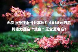 无货源赚钱案例分享图片 6888元的赢利能力课在“洗白”无货源电商？