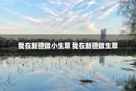 我在新疆做小生意 我在新疆做生意