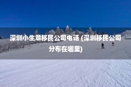 深圳小生意移民公司电话 (深圳移民公司分布在哪里)