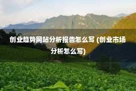 创业趋势网站分析报告怎么写 (创业市场分析怎么写)