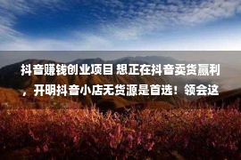 抖音赚钱创业项目 想正在抖音卖货赢利，开明抖音小店无货源是首选！领会这5大劣势