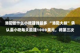 洛阳做什么小吃赚钱最多 “洛阳大叔”承认卖小吃每天能赚1000美元，将第三次正在美国出庭！