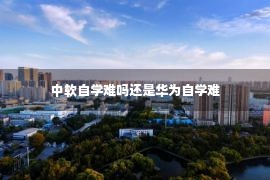 中软自学难吗还是华为自学难