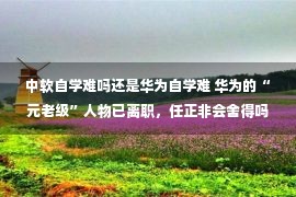 中软自学难吗还是华为自学难 华为的“元老级”人物已离职，任正非会舍得吗？