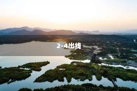 2-4出线