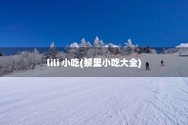 lili 小吃(黎里小吃大全)