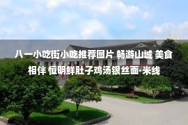 八一小吃街小吃推荐图片 畅游山城 美食相伴 恒明鲜肚子鸡汤银丝面·米线