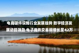 电商硬件设施行业发展趋势 数字经济发展动能强劲 电子商务交易额增长至42万亿元