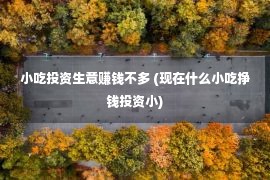 小吃投资生意赚钱不多 (现在什么小吃挣钱投资小)