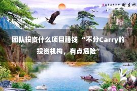 团队投资什么项目赚钱 “不分Carry的投资机构，有点危险”