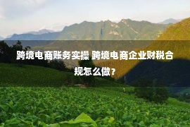 跨境电商账务实操 跨境电商企业财税合规怎么做？