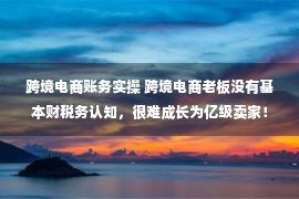 跨境电商账务实操 跨境电商老板没有基本财税务认知，很难成长为亿级卖家！