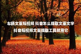 车辆文案短视频 抖音怎么提取文案文字 抖音短视频文案提取工具就用它