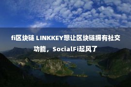 fi区块链 LINKKEY想让区块链拥有社交功能，SocialFi起风了