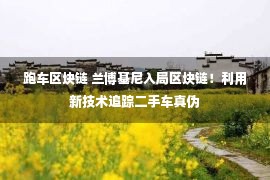 跑车区块链 兰博基尼入局区块链！利用新技术追踪二手车真伪